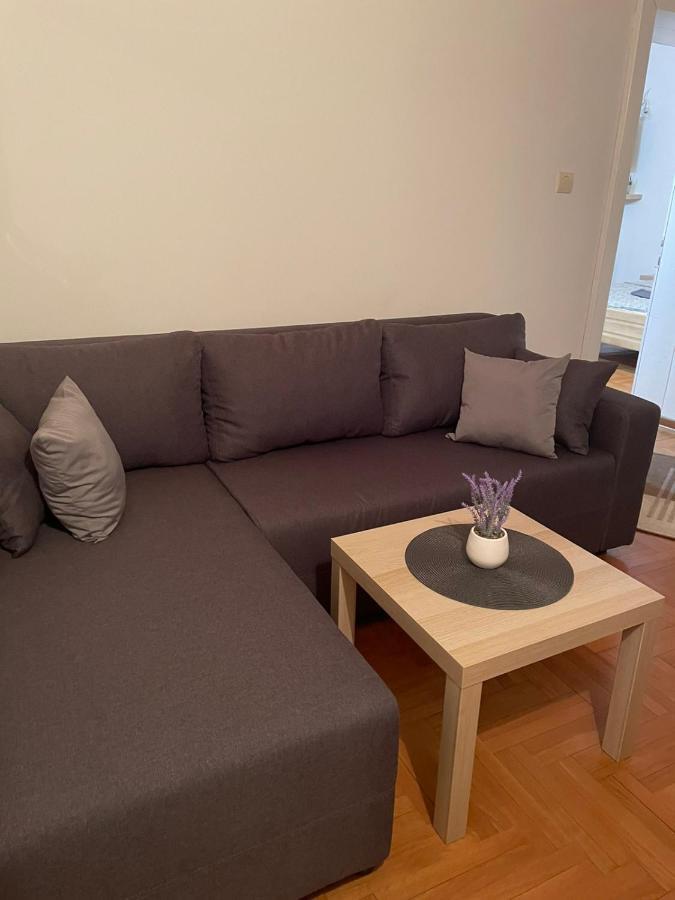 Vila Miletic Vrnjačka Banja エクステリア 写真