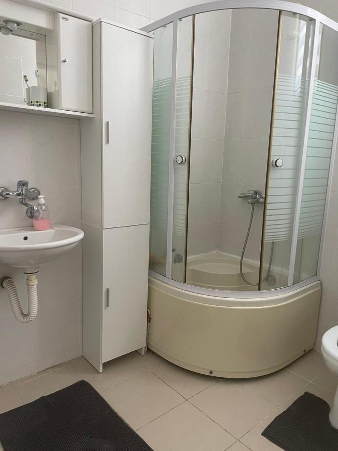 Vila Miletic Vrnjačka Banja エクステリア 写真