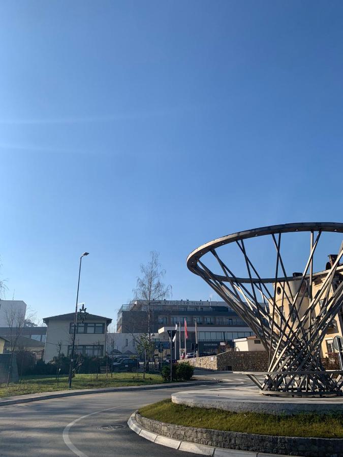 Vila Miletic Vrnjačka Banja エクステリア 写真
